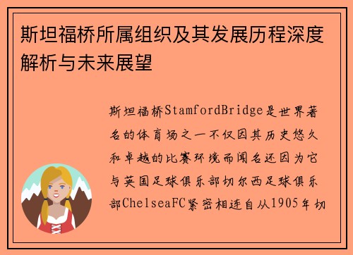 斯坦福桥所属组织及其发展历程深度解析与未来展望